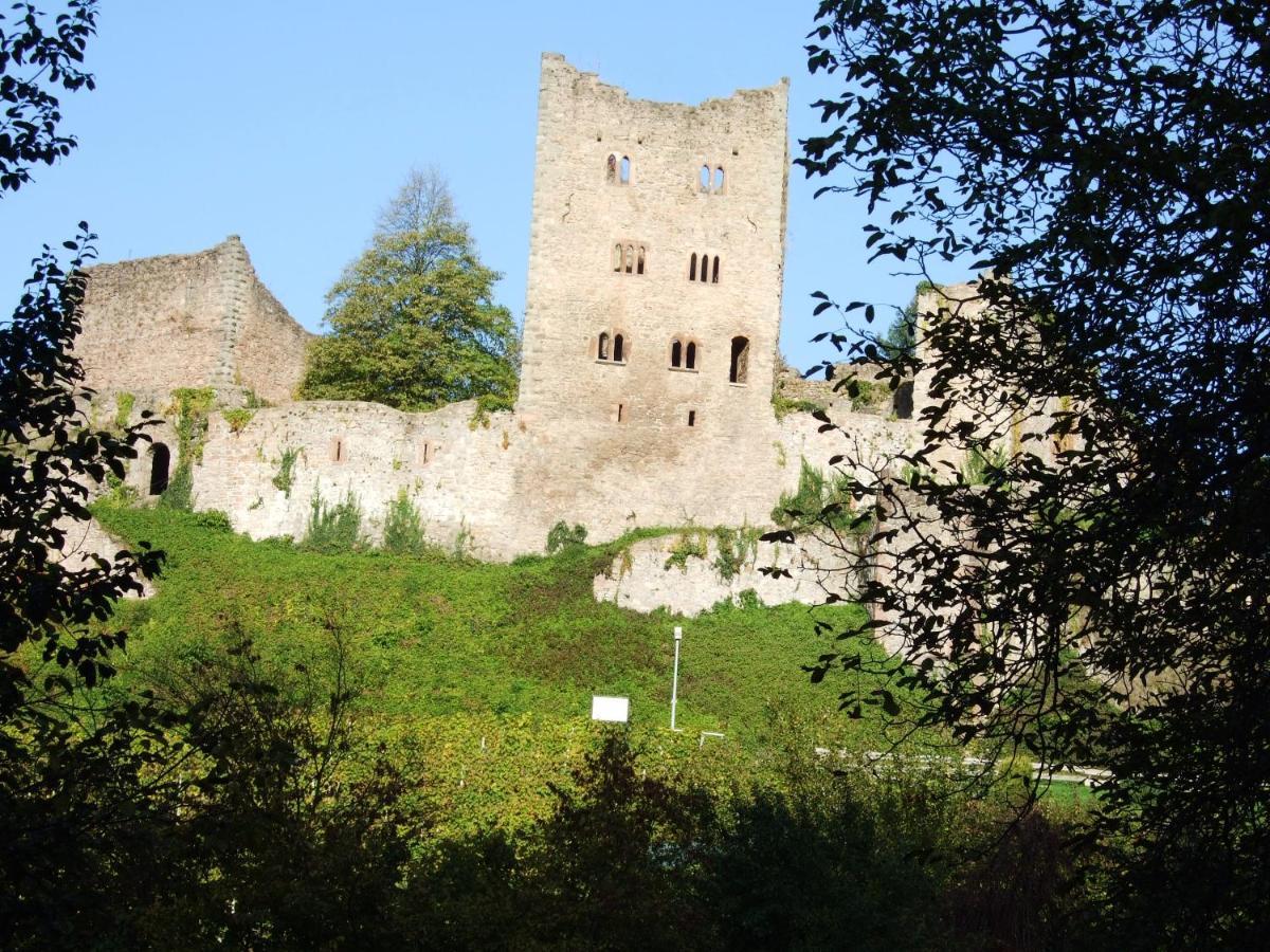 Ferienhaus Mayer In Der Sonnigen Ortenau Oberkirch  Exteriér fotografie